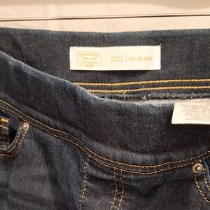 Levi's Blue Jeggings with Comfort Fit